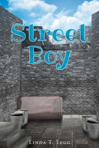 Street Boy (Paperback)