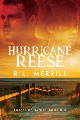Hurricane Reese (Paperback)