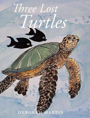 Three Lost Turtles (Hardback)