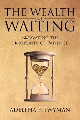 The Wealth of Waiting: Excavating the Prosperity of Patience (Paperback)