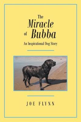 The Miracle of Bubba (Paperback)