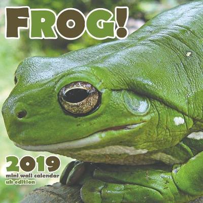 The Frog 2019 Calendar (UK Edition) (Paperback)
