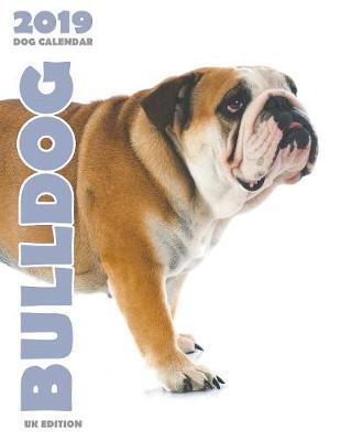 Bulldog 2019 Dog Calendar (UK Edition) (Paperback)