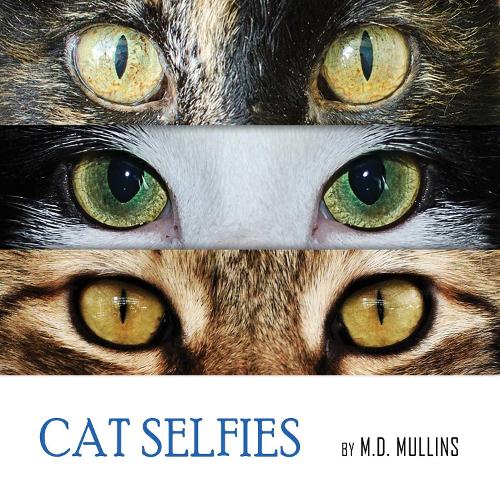 Cat Selfies (Hardback)