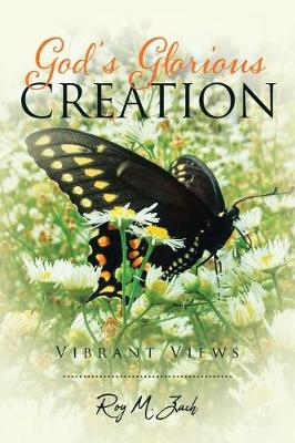 God's Glorious Creation: Vibrant Views (Paperback)