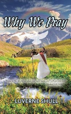 Why We Pray (Paperback)