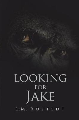 Looking for Jake (Paperback)