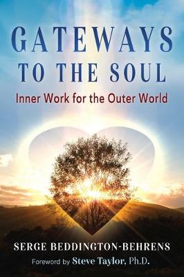 Gateways to the Soul: Inner Work for the Outer World (Paperback)