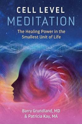 Cell Level Meditation: The Healing Power in the Smallest Unit of Life (Paperback)