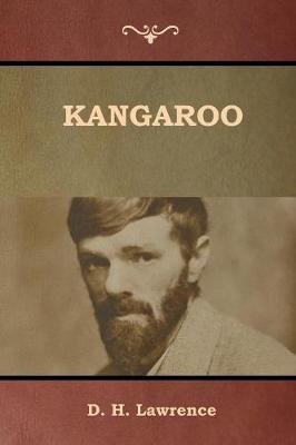 Kangaroo (Paperback)