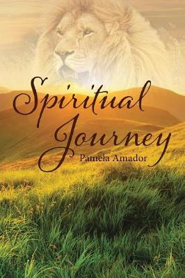 Spiritual Journey (Paperback)