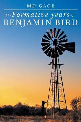 The Formative Years of Benjamin Bird (Paperback)