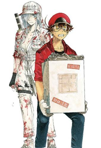 Cells at Work! CODE BLACK 8 - Cells at Work! Code Black 8 (Paperback)