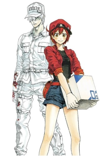 Cells at Work! Complete Manga Box Set! - Cells at Work! Manga Box Set! 1 (Paperback)