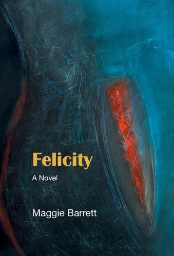 Felicity (Hardback)