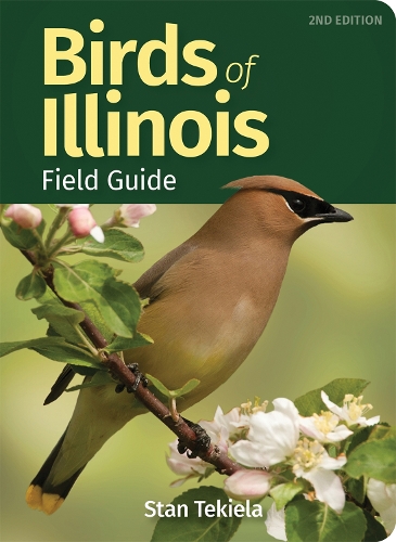 Birds of Illinois Field Guide - Bird Identification Guides (Paperback)