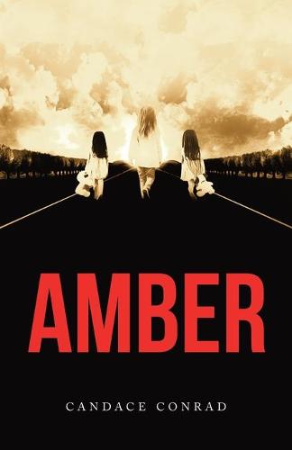 Amber (Paperback)