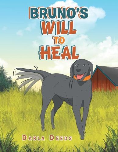 Bruno's Will to Heal (Paperback)