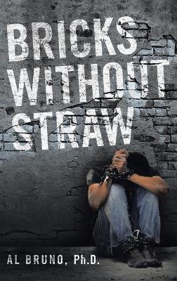 Bricks Without Straw (Hardback)