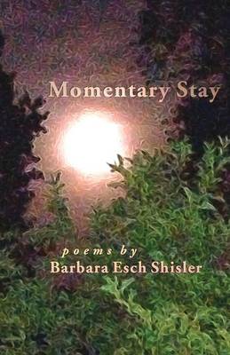 Momentary Stay: Poems (Paperback)