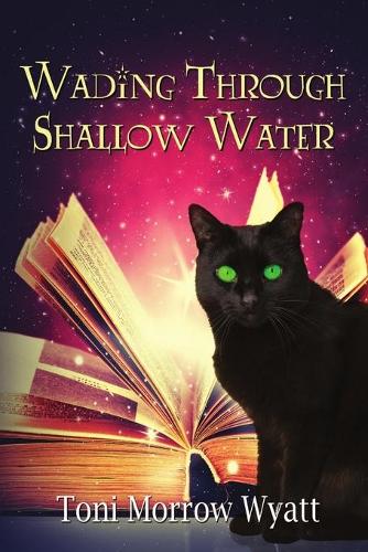 Wading Through Shallow Water (Paperback)