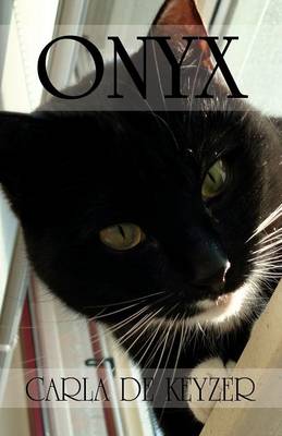 Onyx (Paperback)