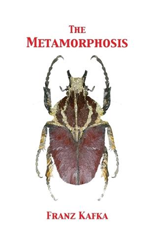 The Metamorphosis (Hardback)