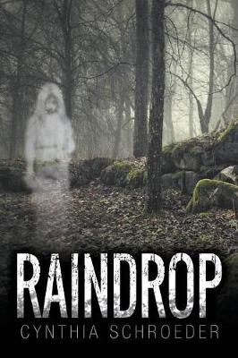 Raindrop (Paperback)