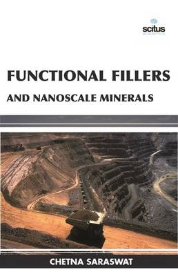 Functional Fillers and Nanoscale Minerals (Hardback)
