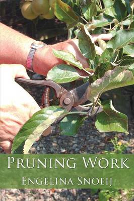 Pruning Work (Paperback)