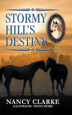 Stormy Hill's Destiny: Book 7 (Hardback)