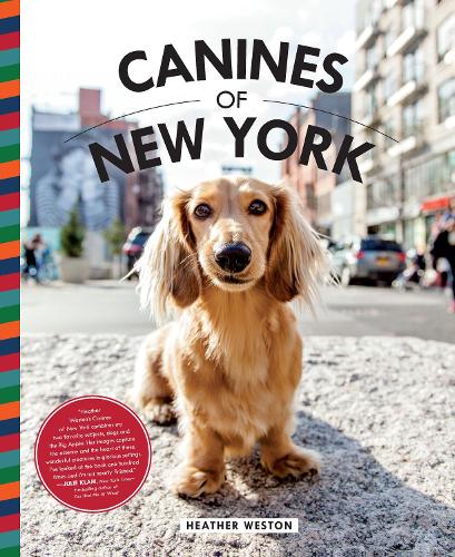 Canines of New York (Hardback)
