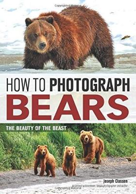 How To Photograph Bears: The Beauty of The Beast (Paperback)