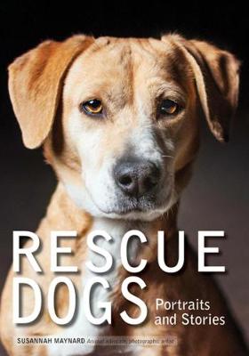 Rescue Dogs (Paperback)