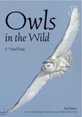 Owls In The Wild: A Visual Essay (Paperback)
