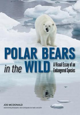 Polar Bears In The Wild: A Visual Essay (Paperback)
