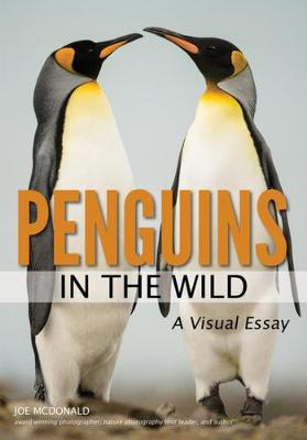 Penguins In The Wild (Paperback)