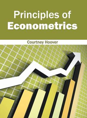 Principles of Econometrics (Hardback)