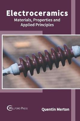 Electroceramics: Materials, Properties and Applied Principles (Hardback)