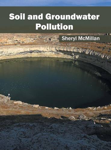 Soil and Groundwater Pollution (Hardback)