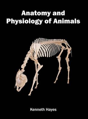 Anatomy and Physiology of Animals (Hardback)