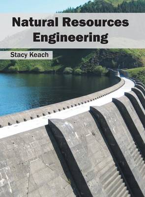 Natural Resources Engineering (Hardback)