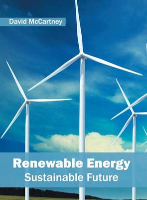 Renewable Energy: Sustainable Future (Hardback)