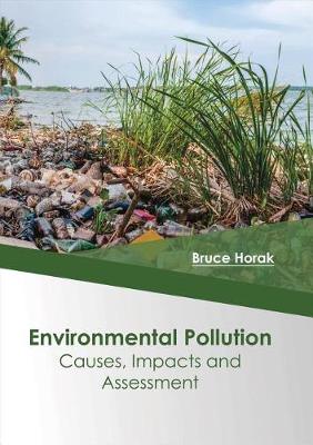 Environmental Pollution: Causes, Impacts and Assessment (Hardback)