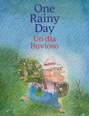 One Rainy Day / Un Dia Lluvioso (Hardback)