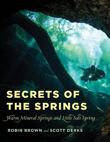 Secrets of the Springs: Warm Mineral Springs and Little Salt Spring (Paperback)