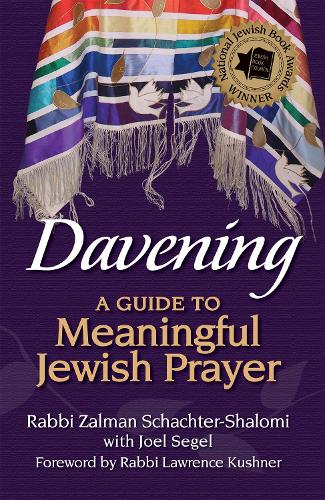 Davening: A Guide to Meaningful Jewish Prayer (Hardback)