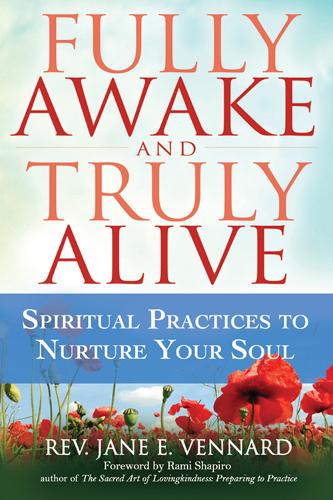 Fully Awake and Truly Alive: Spiritual Practices to Nurture Your Soul (Hardback)