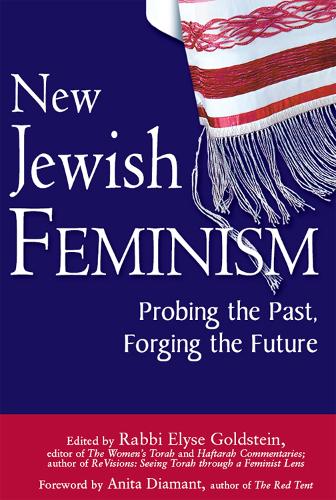 New Jewish Feminism: Probing the Past, Forging the Future (Paperback)