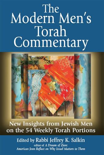 The Modern Men's Torah Commentary: New Insights from Jewish Men on the 54 Weekly Torah Portions (Paperback)